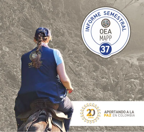 Informe Semestral 37