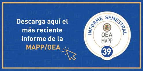 Informe 39 botón